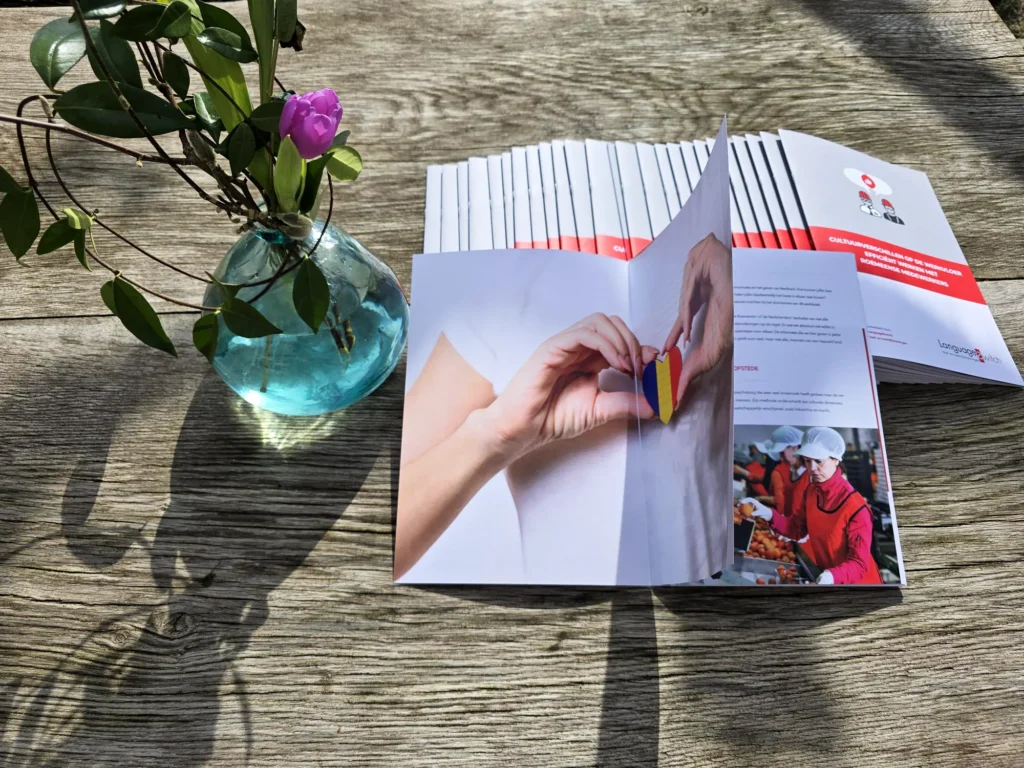 Roemeense Cultuur Brochure
