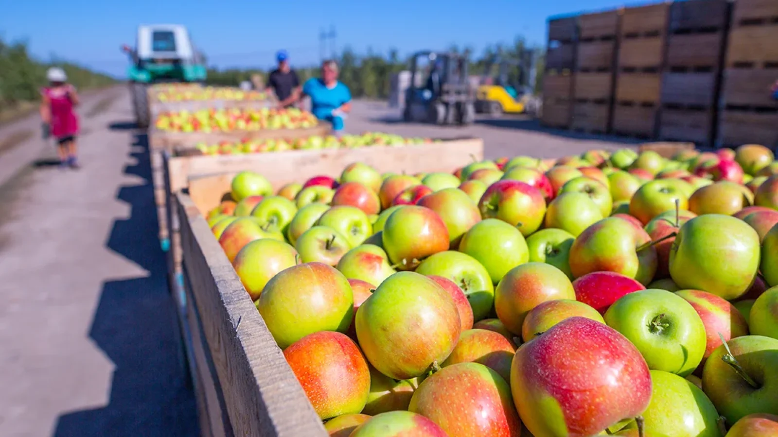 Misverstanden in de communicatie voorkomen