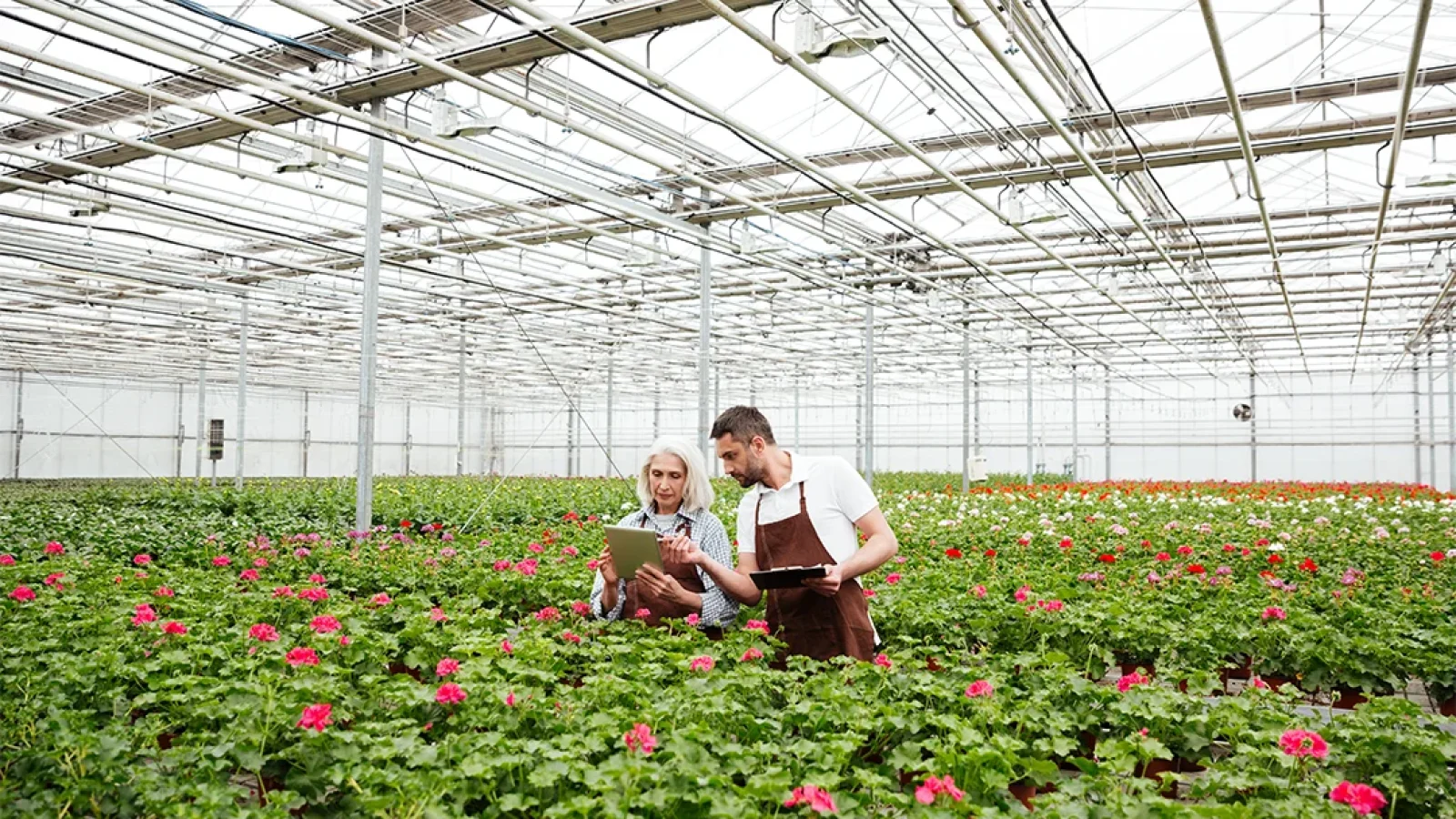 Uitdagingen op de werkvloer